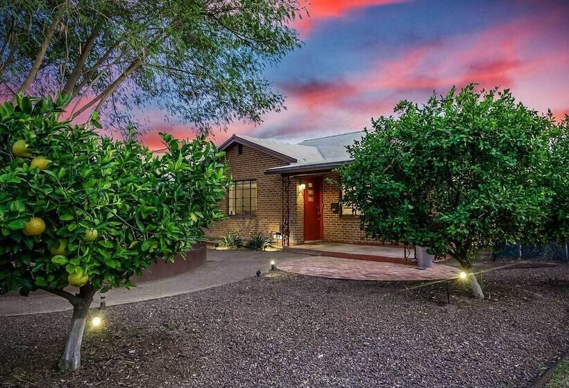 Sun Lit Phoenix Gem: Backyard Entertainment Patio!
