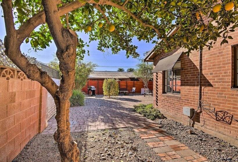 Sun Lit Phoenix Gem: Backyard Entertainment Patio!