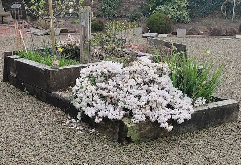 The Cabin Quiet, Relaxing And Dog Friendly