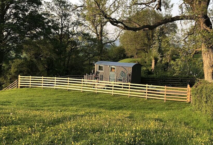 The Peacock Shepherds Hut At Hafoty Boeth