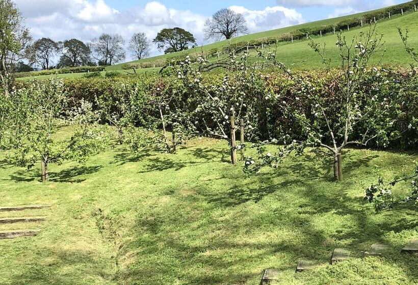 The Peacock Shepherds Hut At Hafoty Boeth