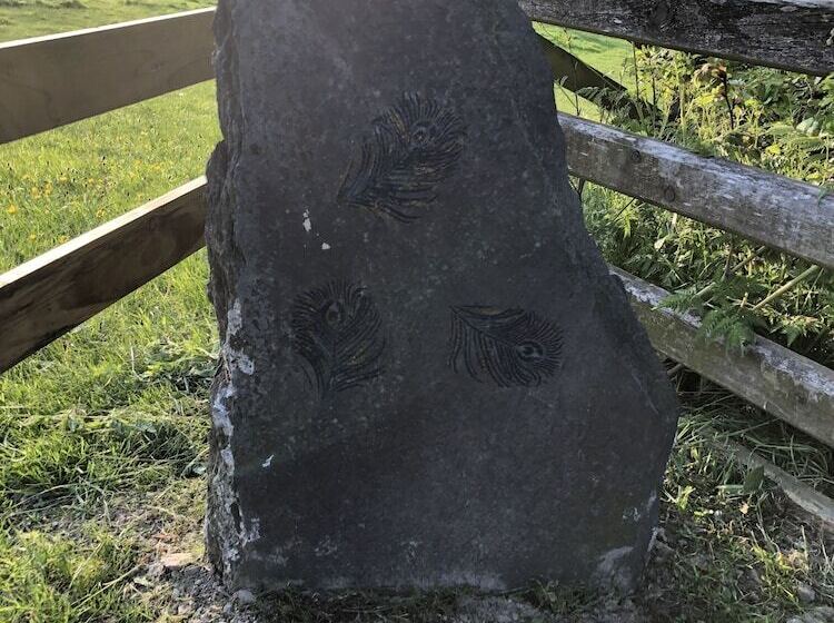 The Peacock Shepherds Hut At Hafoty Boeth