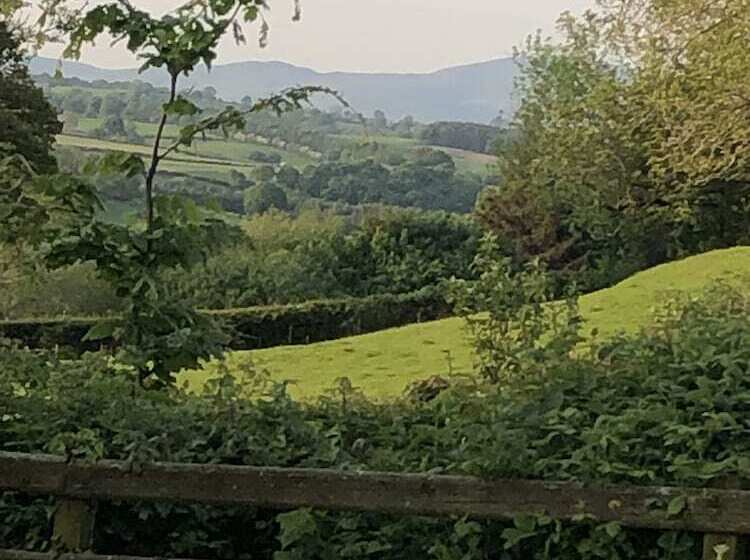 The Peacock Shepherds Hut At Hafoty Boeth