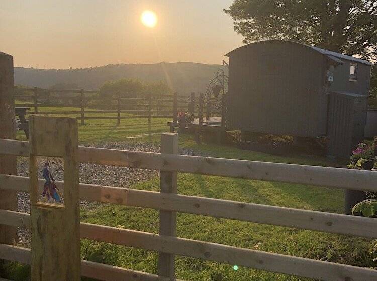 The Peacock Shepherds Hut At Hafoty Boeth