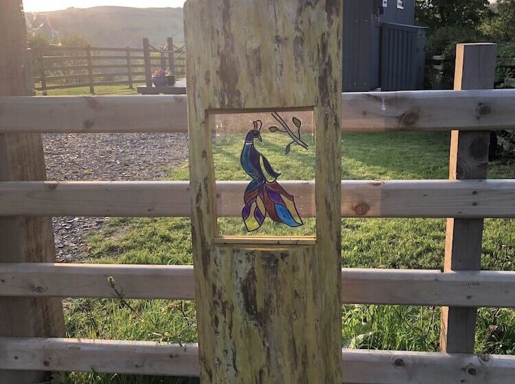The Peacock Shepherds Hut At Hafoty Boeth