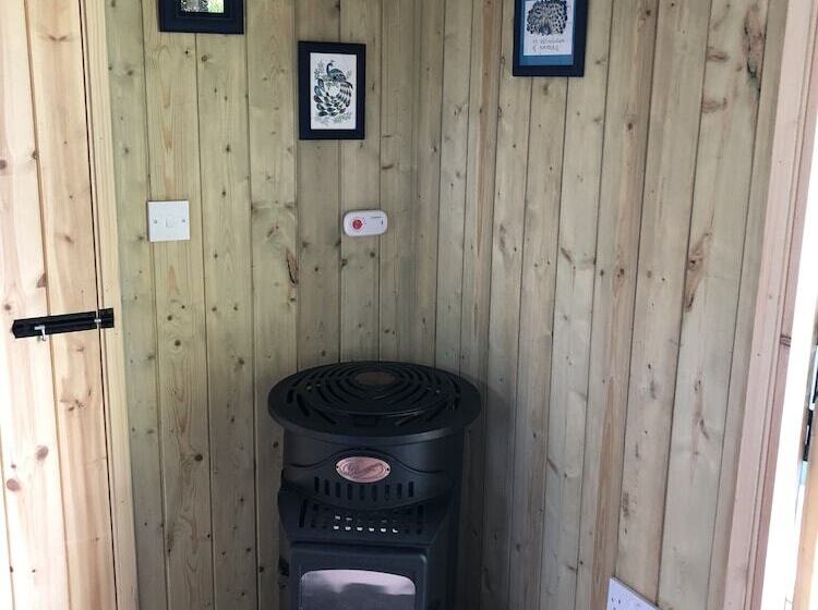 The Peacock Shepherds Hut At Hafoty Boeth