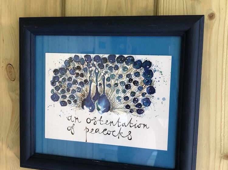 The Peacock Shepherds Hut At Hafoty Boeth