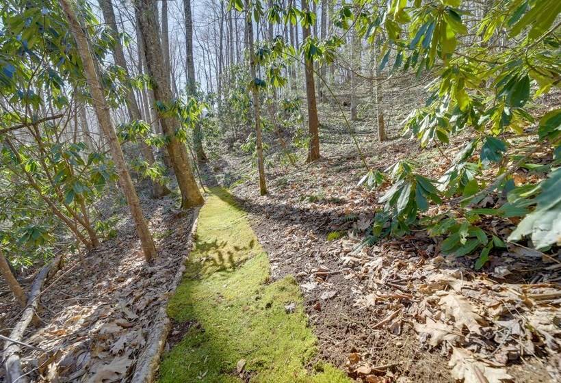 The Red Loft  Candler Cottage Near Hiking Trails!