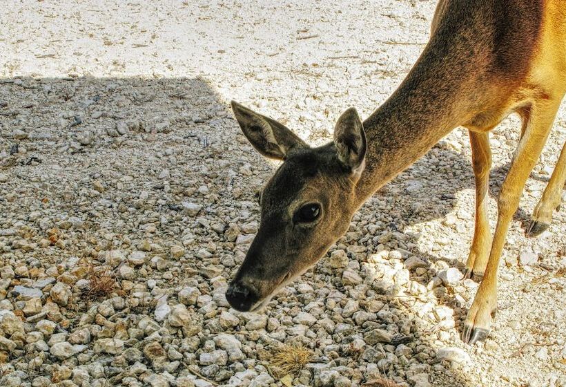 Hill Country Casita W/ Patio: 13 Mi To Dtwn Boerne