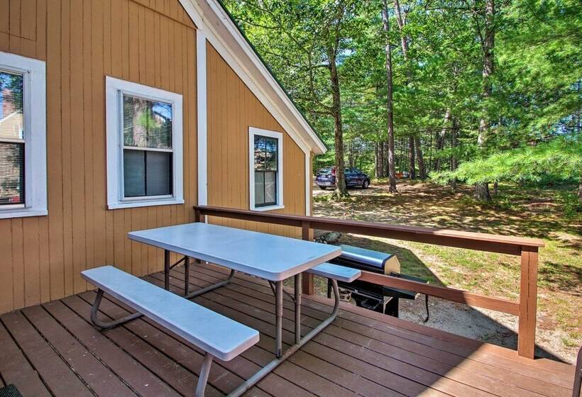 Center Ossipee Pet Friendly Cottage W/ Dock!