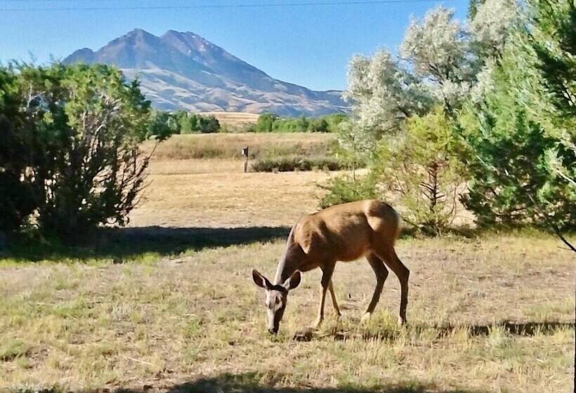 Emigrant Cabin On 10 Acres W/ Bbq & Peaceful Views