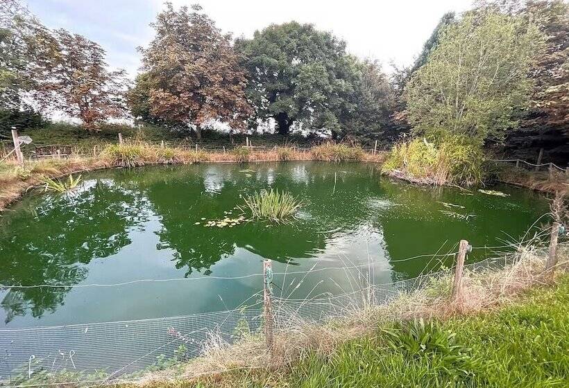 Woodland Camping Pod With Use Of Campsite Bathroom