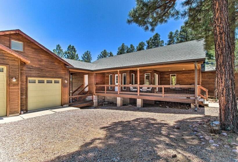 Modern Show Low Cabin Retreat W/ Deck & Grill