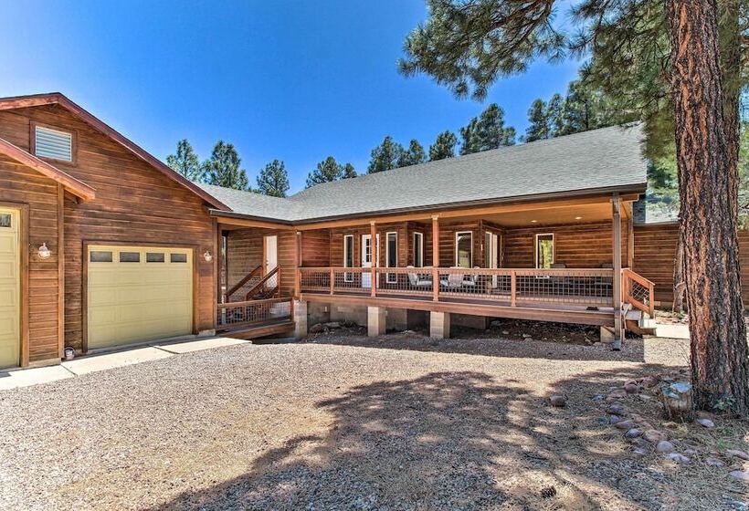 Modern Show Low Cabin Retreat W/ Deck & Grill