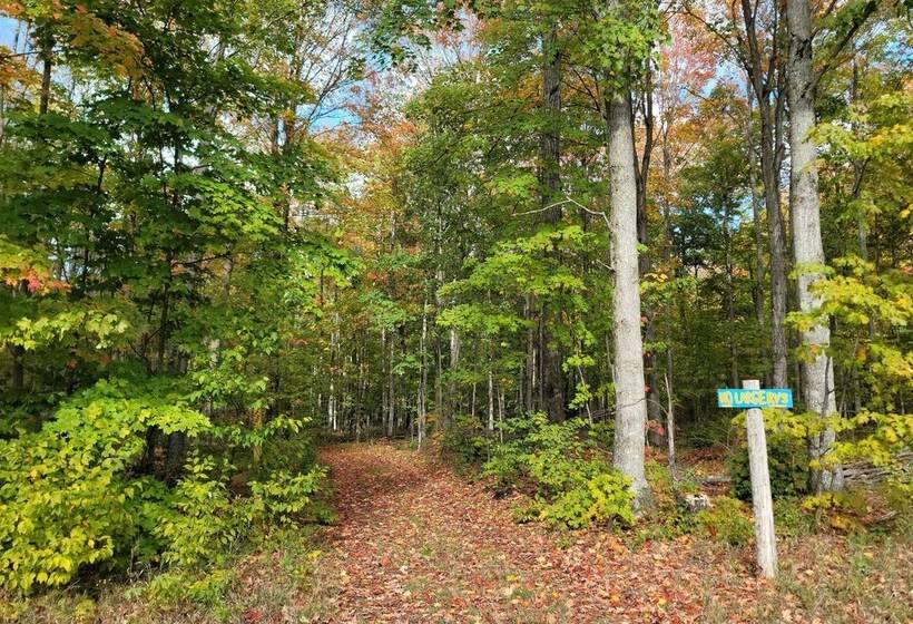 400 Acre Outdoor Enthusiast S Lodge In Mancelona!