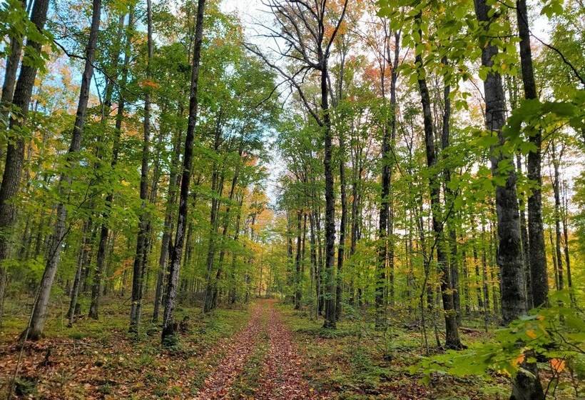 400 Acre Outdoor Enthusiast S Lodge In Mancelona!