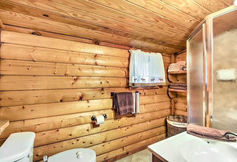 Pet Friendly Cosby Log Cabin W/ Backyard & Porch!