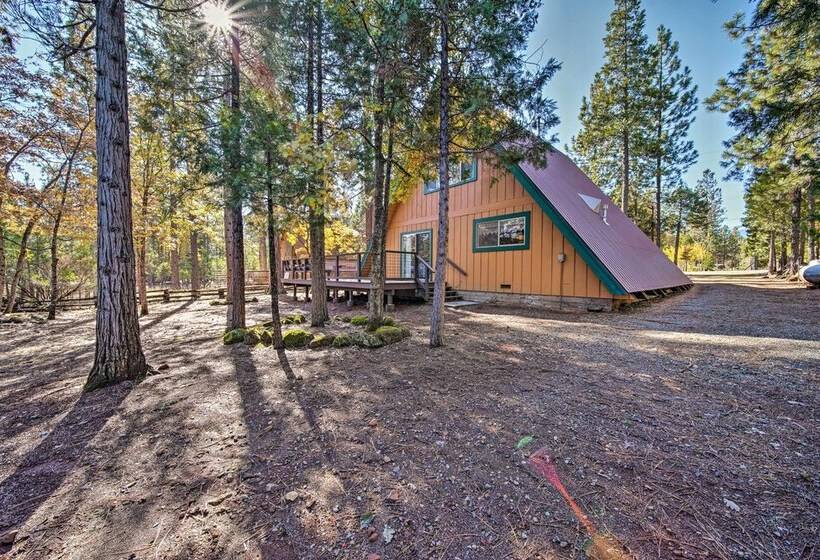 Rustic Trinity Center Cabin W/ Deck Near Fishing!