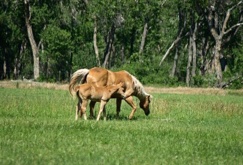 Stunning Silesia Home, Horse Boarding + River View