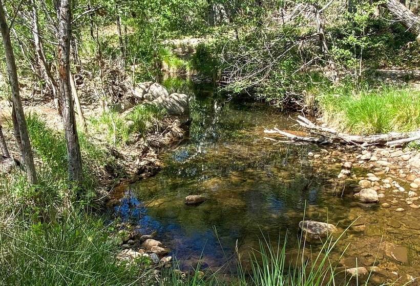 Tonto Nat L Forest Riverside Cabin!