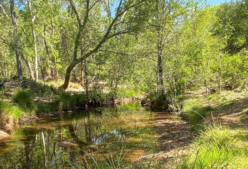 Tonto Nat L Forest Riverside Cabin!