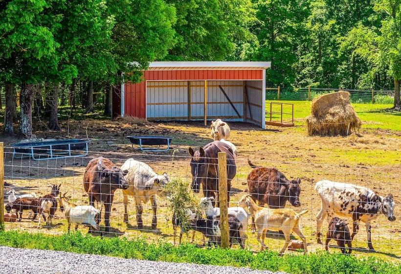 Almost Heaven Too  50 Acre Escape W/ Pond!