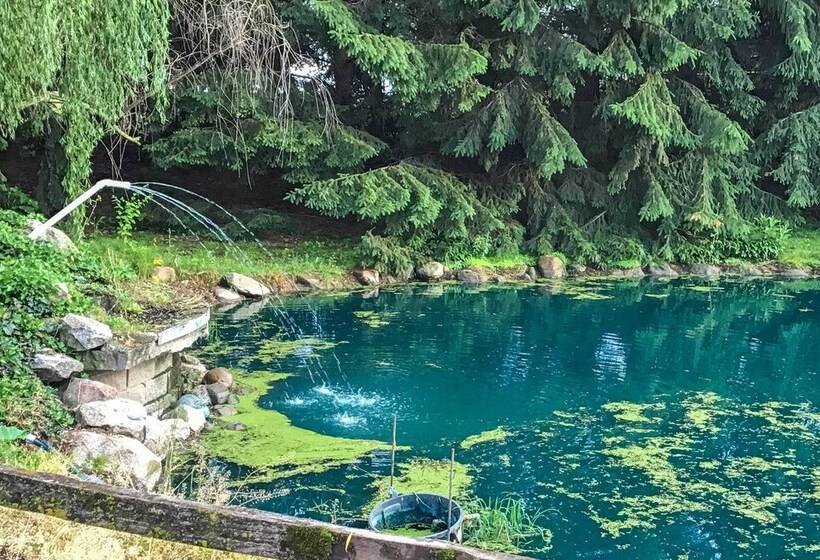 Honey House Cabin    A Quiet Countryside Retreat!