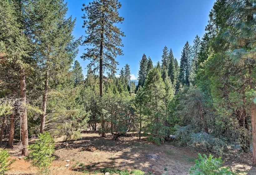 Deck & Views: Lush A Frame Cabin In Pioneer!