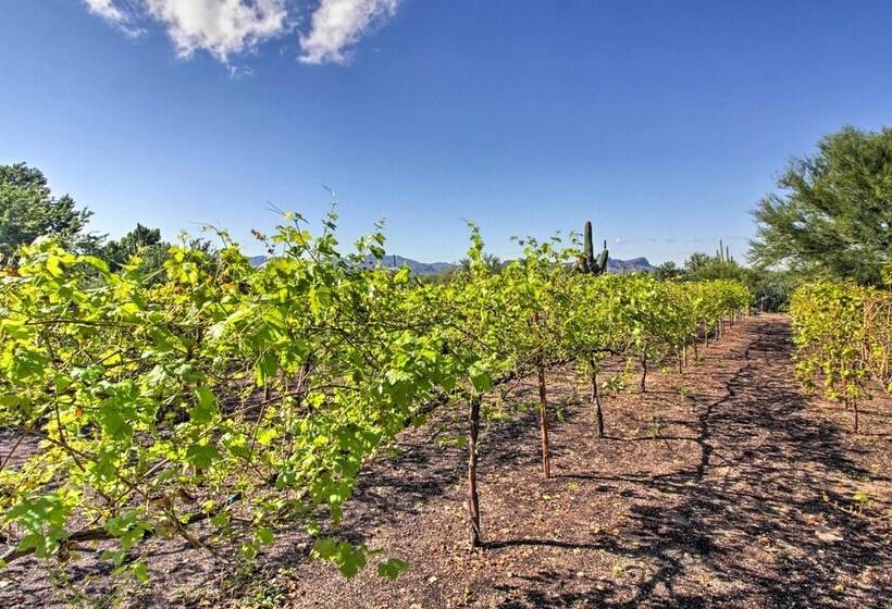 Luxe Tucson Vineyard Home W/ Views & Fire Pit