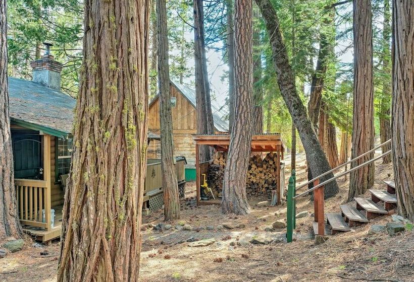 Peaceful  Little Doll House  Cabin W/ Grill!