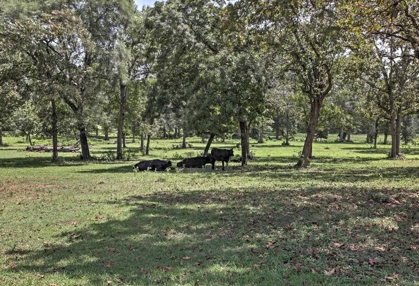 Tranquil Plantersville Cabin: Farm Animals On Site