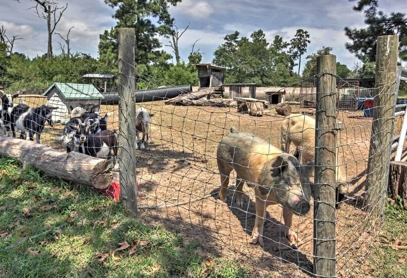 Tranquil Plantersville Cabin: Farm Animals On Site