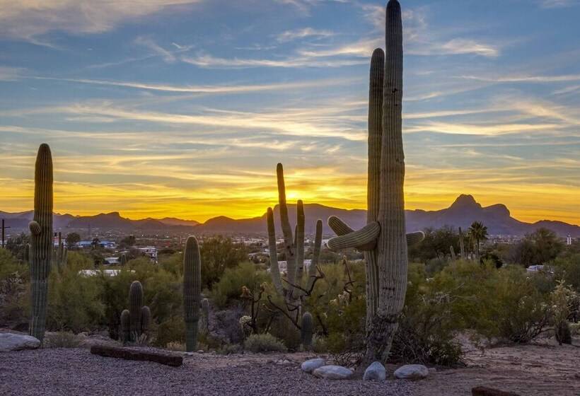 Classy Tucson Escape W/ Fire Pit On 5 Acres!