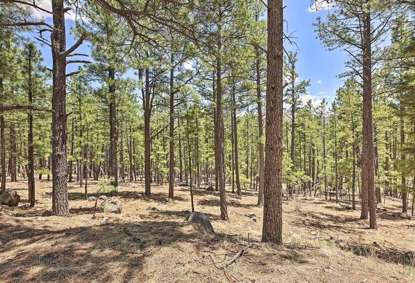 Cozy Cabin Near Colorado River: Hike, Bike & Ski