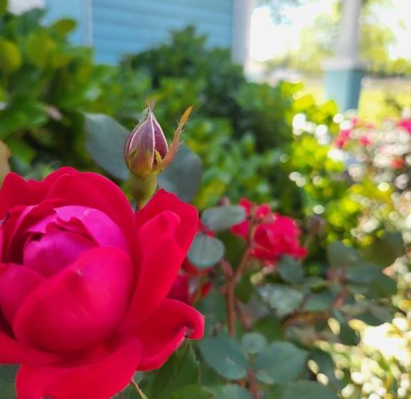 Spacious Historic Home W/ Yard & Deck!