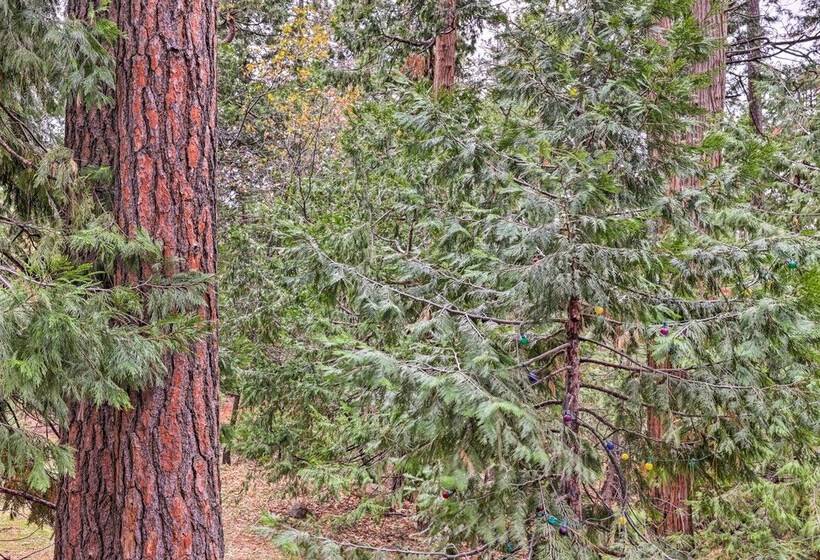 Idyllic Cabin W/ Fire Pit, 1 Mi To Mi Wuk Village!