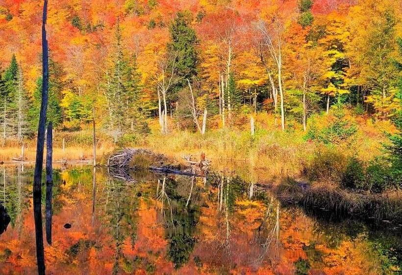 Lake Champlain Home W/ Decks, Kayaks & Fire Pit!