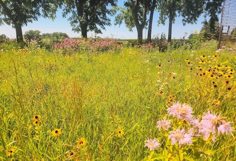 Spacious Farmhouse On 200 Acres Along The River