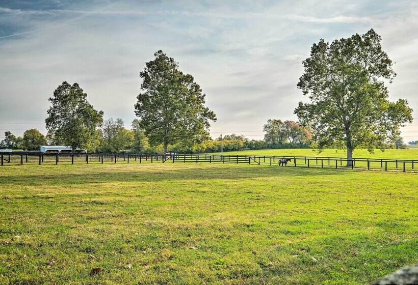 Lexington Vacation Home ~ 6 Mi To Horse Park!