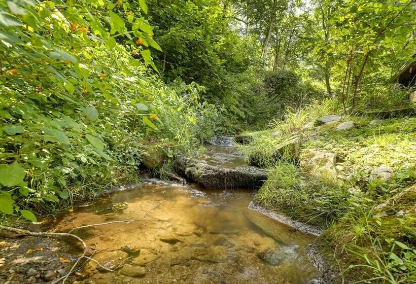 Maggie Valley Cottage Near Festival Grounds!