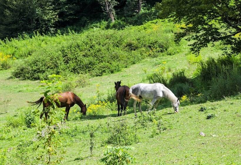 Maggie Valley Cottage Near Festival Grounds!