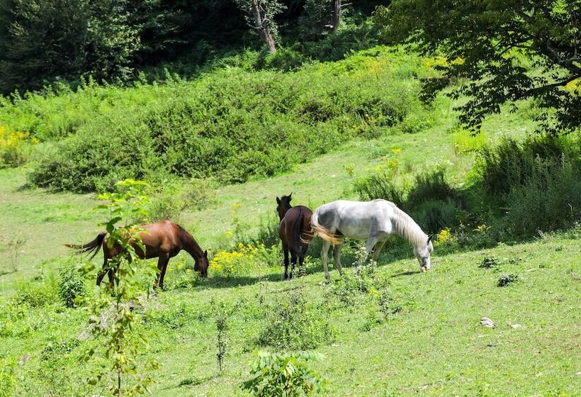 Maggie Valley Cottage Near Festival Grounds!