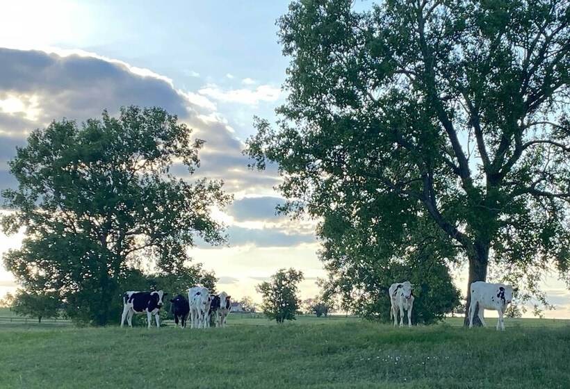 Modern Stephenville Farmhouse: 8 Mi To Dtwn!