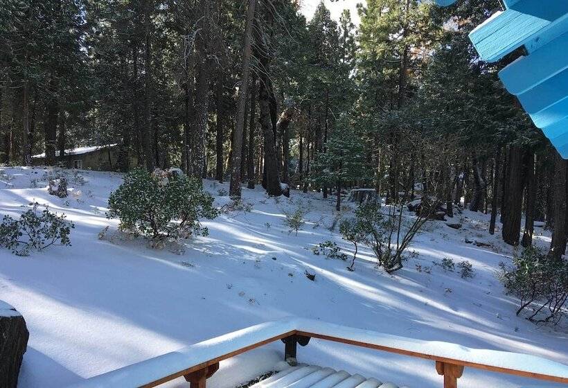 Peaceful Camp Connell Cabin W/ Community Pool