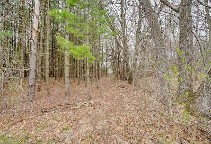 Pet Friendly Cabin Retreat: Walk To Lake Pepin!