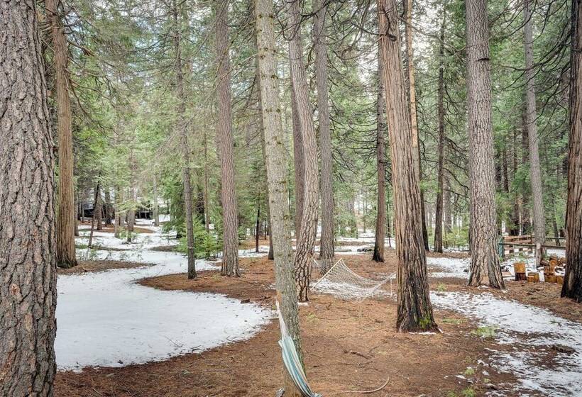 Renovated Pioneer Home In Serene Wooded Setting!