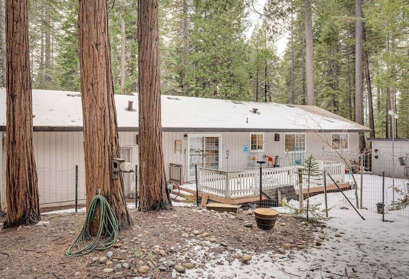 Renovated Pioneer Home In Serene Wooded Setting!