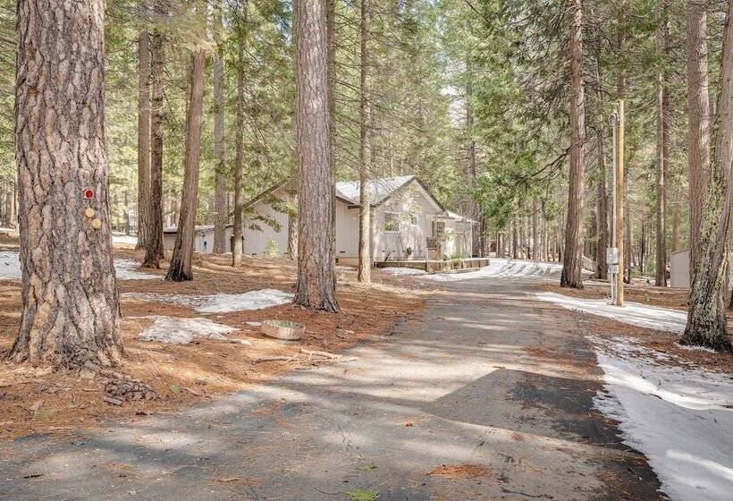 Renovated Pioneer Home In Serene Wooded Setting!