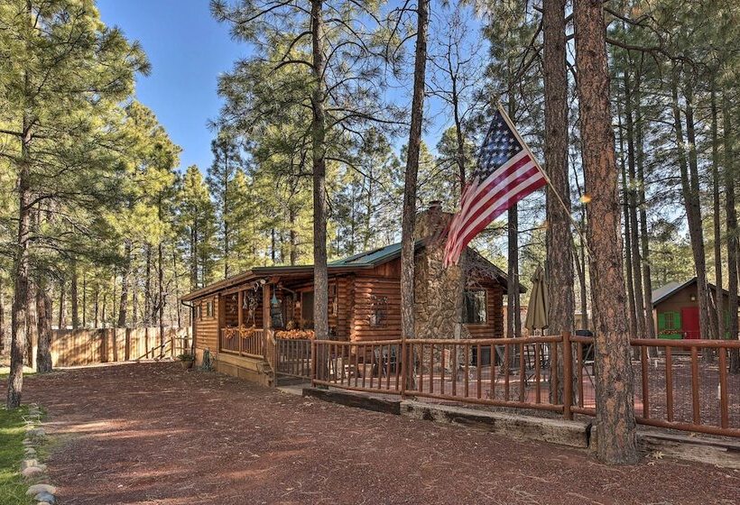 Family & Pet Friendly: Rustic Lakeside Cabin