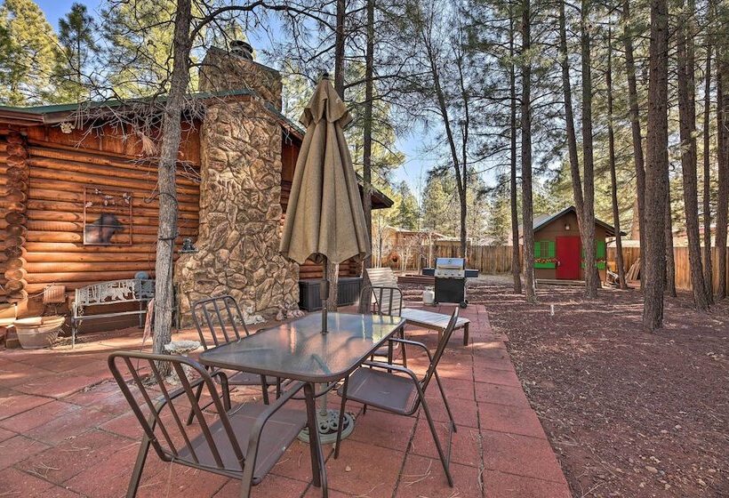 Family & Pet Friendly: Rustic Lakeside Cabin